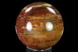 Colorful Petrified Wood Sphere - Madagascar #135654-1
